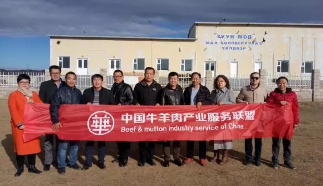 草原丝路，品牌先行 中国牛羊肉产业服务联盟蒙古国考察行记